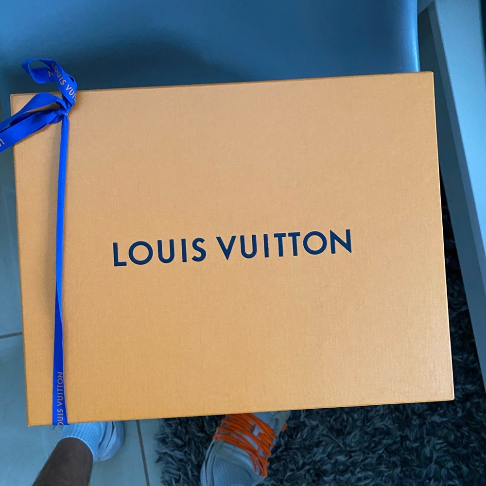 Louis Vuitton shoes